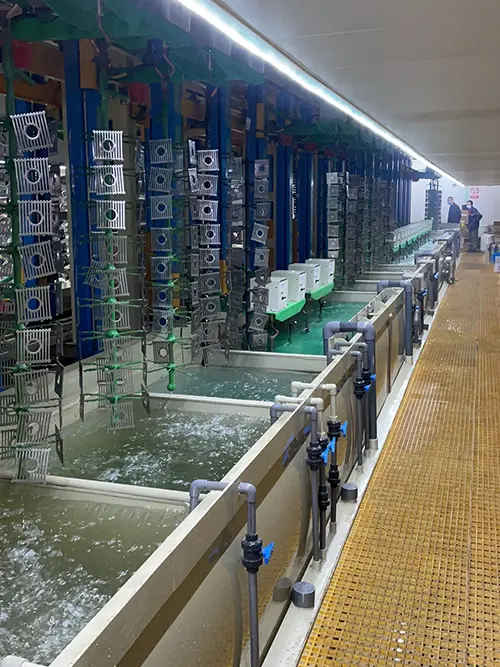 Vertical Rack Plating Line For Bathroom Hardware